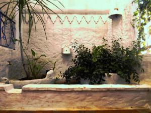 une chambre avec des plantes en pots et un mur dans l'établissement Patio De La Luna, à Assilah