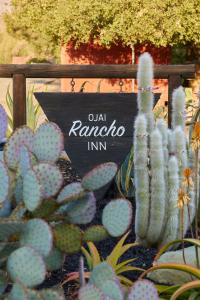 un panneau pour une ancienne auberge rambota à côté du cactus dans l'établissement Ojai Rancho Inn, à Ojai