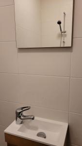a bathroom with a sink and a mirror at Betuwe Huisje in Meteren +19 photos