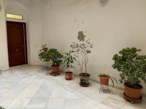 Fotografia z galérie ubytovania Apartamento en Cádiz capital v destinácii Cádiz