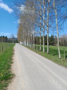 a road with trees on the side of a field at Wakacyjny domek Marcel in Duszniki Zdrój