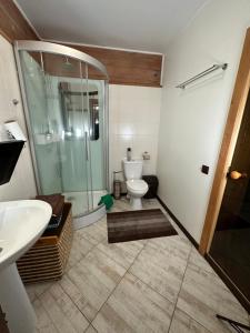 uma casa de banho com um chuveiro, um WC e um lavatório. em Dacha 6 em Voropayev