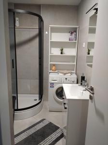 y baño con ducha y lavadora. en Apartman Lari, en Vižinada