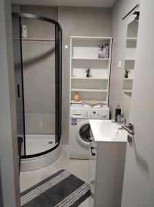 Koupelna v ubytování Apartman Lari