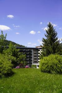 Příroda nedaleko hotelu