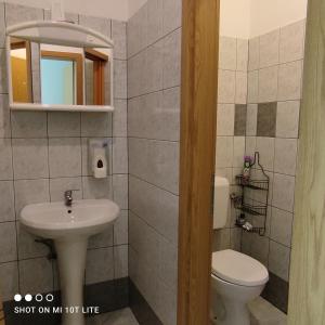 a bathroom with a sink and a toilet and a mirror at PRENOČIŠČE 9a in Tolmin