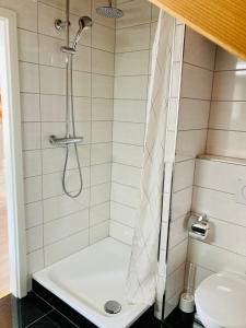 Ένα μπάνιο στο Ferienwohnungen im Hegau
