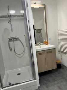 a bathroom with a shower and a sink at Superbe Appart 2P pour 4 pers à 5 min TGV RER Orly in Massy