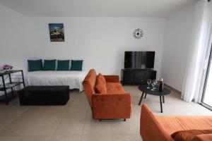a living room with a couch and a bed at Gite les edelweiss Fleurs des Pyrénées in Argelès-Gazost