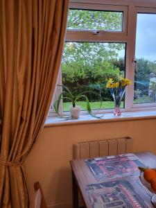 una ventana con una mesa delante en Nice, en Torquay