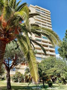 palma przed wysokim budynkiem w obiekcie Bonito apartamento w Marbelli