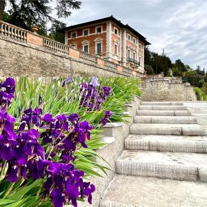 a building with a bunch of purple flowers and stairs at Villa Pasqui 1914 e Limonaia in Città di Castello