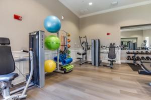 Fitness centrum a/nebo fitness zařízení v ubytování Lofty Lodge