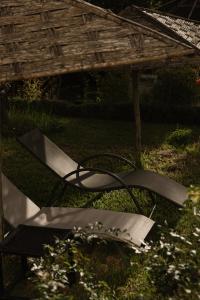einen Stuhl, der im Gras im Hof sitzt in der Unterkunft Dar Tanja Boutique Hotel in Tangier