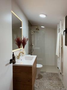 bagno bianco con lavandino e servizi igienici di Can Mosqueroles casa en Castellfollit de la Roca a Girona