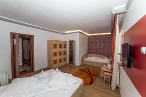 Gallery image of Guesthouse Magic in Băile Herculane