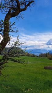 Gallery image of Garni Reider in Meltina