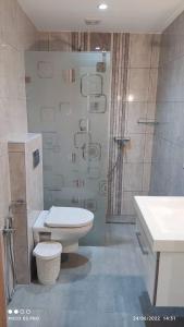 a bathroom with a toilet and a shower and a sink at Kelibia beach luxury maison in Kelibia