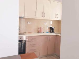 Kuchyň nebo kuchyňský kout v ubytování Alexa apartament