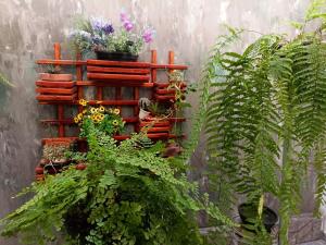 a bunch of plants on a wooden rack with flowers at Casa da Nice in Guaratinguetá