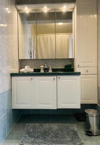 bagno bianco con lavandino e specchio di La vie à Ostende a Ostenda