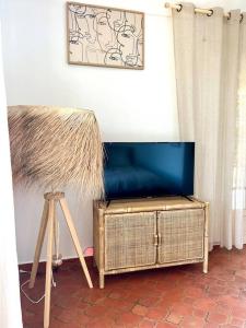 einen Fernseher auf einem Stand neben einem Stativ in der Unterkunft Ô perché in Toulon