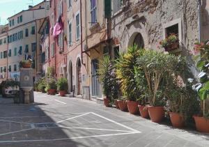 a street with potted plants on the side of a building at Casa Artisti in Carrara +4 photos