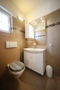 a bathroom with a sink and a toilet and a mirror at Rooms & Studio apartmani Flower in Bibinje