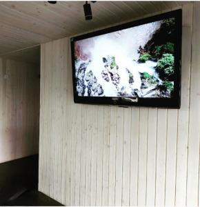 einen Flachbild-TV, der an einer Wand hängt in der Unterkunft Садиба Герасімових in Kamjanez-Podilskyj