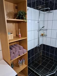 a bathroom with a walk in shower and purple towels at Billie's guest house in Iraklitsa +31 photos