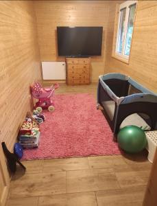 TV in/ali zabaviščno središče v nastanitvi Apartmánová chata Sečanda s bazénem, u Sečské přehrady