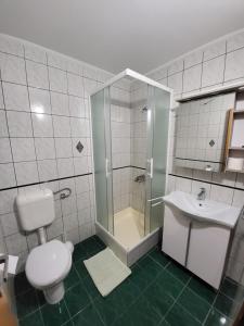Koupelna v ubytování Apartmani Mira