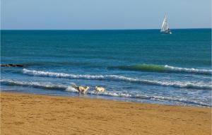 Plaia GrandeGorgeous Home In Marina Di Ragusa的两只狗在海滩上水中散步