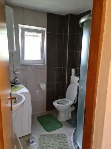 uma pequena casa de banho com um WC e uma janela em Villa Miševići em Hadžići
