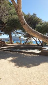 grupa ławek na plaży z drzewami w obiekcie Castel du Soleil, Bord de mer, 4 pers w mieście Saint-Cyr-sur-Mer