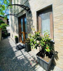 a group of potted plants in front of a building at Casa Azalea in Colico