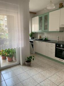 a kitchen with white cabinets and potted plants in it at Apartment Chie in Izola