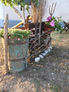 Fotografie z fotogalerie ubytování CASA PIERA v destinaci Acciano + 67 fotografií