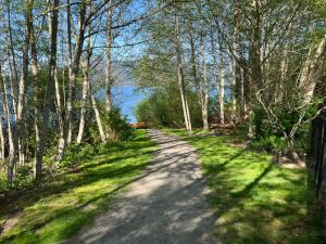 eine unbefestigte Straße mit Bäumen auf beiden Seiten in der Unterkunft Sea and Cedar Retreat-a home in a tranquil setting in Cowichan Bay