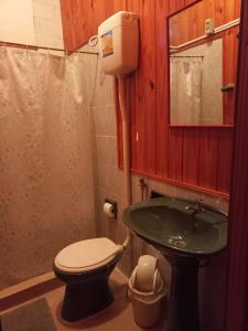 a bathroom with a toilet and a sink at La casona in Puerto Iguazú