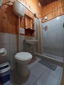 La salle de bains est pourvue de toilettes, d'un lavabo et d'une douche. dans l'établissement La casona, à Puerto Iguazú