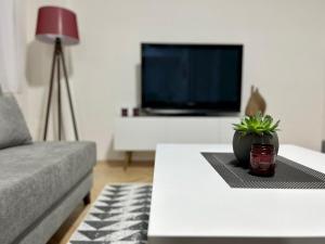 TV a/nebo společenská místnost v ubytování BIO Apartment
