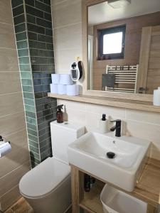 La salle de bains est pourvue d'un lavabo, de toilettes et d'un miroir. dans l'établissement chatka Tatralandia 433 Sofinka, à Liptovský Mikuláš