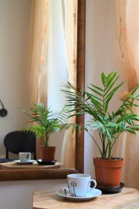 Příslušenství pro přípravu čaje a kávy v ubytování Old Town Apartment