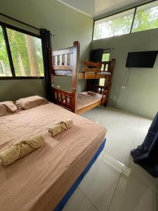 a bedroom with two beds and a tv and windows at Casa Black Chaini in Puerto Viejo