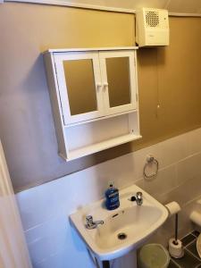 a bathroom with a sink and a medicine cabinet at Apt. 2 - Town Centre Apartment in Bagenalstown