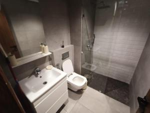 luxury studio in Casablanca في الدار البيضاء: حمام مع مرحاض ومغسلة ودش