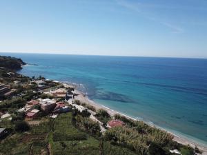 Táj Show holiday homes közelében