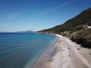 Táj Show holiday homes közelében
