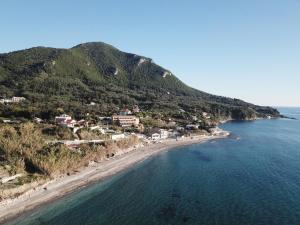 Táj Show holiday homes közelében
